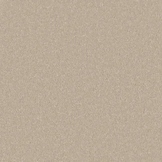Antique White