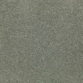 sage tint