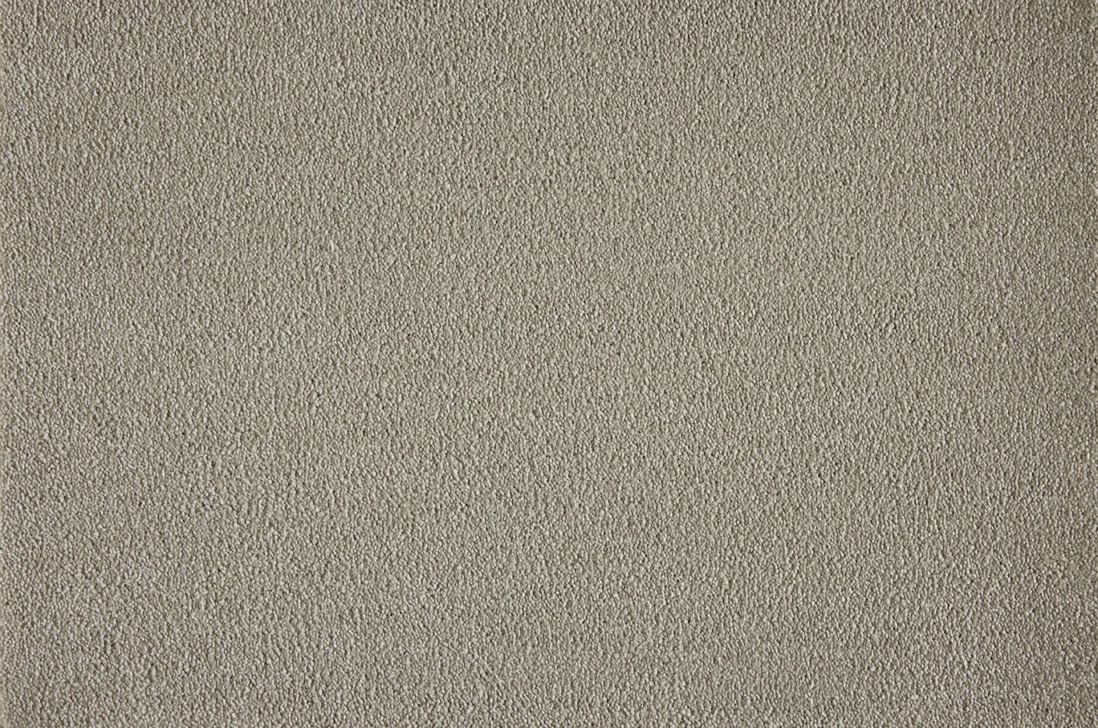 Boulevard Carpet by Lano - Quality & Style