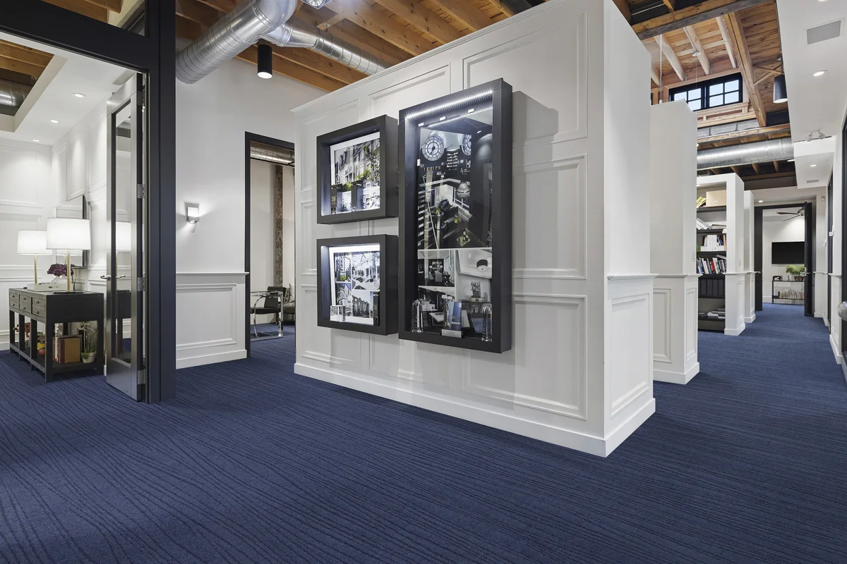 Lano Carve Linea Carpet | Durable and Stylish
