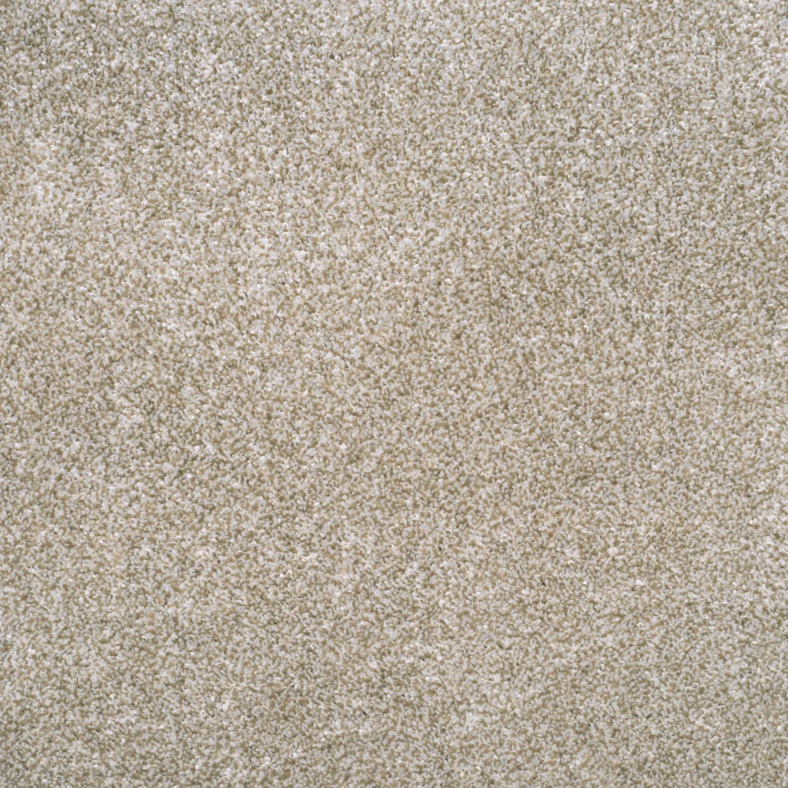 Ultra Saxony Carpet by Balta - Quality Flooring in Wednesfield