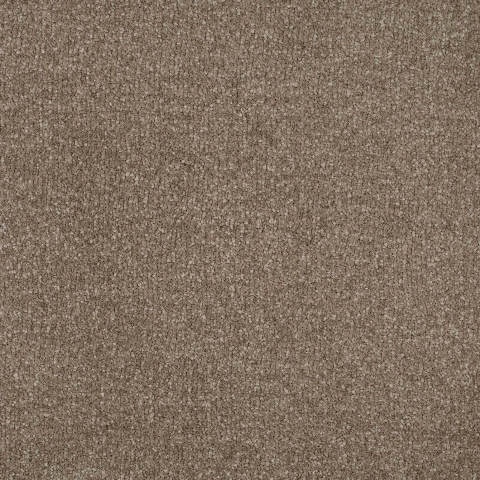 Essence Carpet by Balta | Quality Carpets in Wednesfield