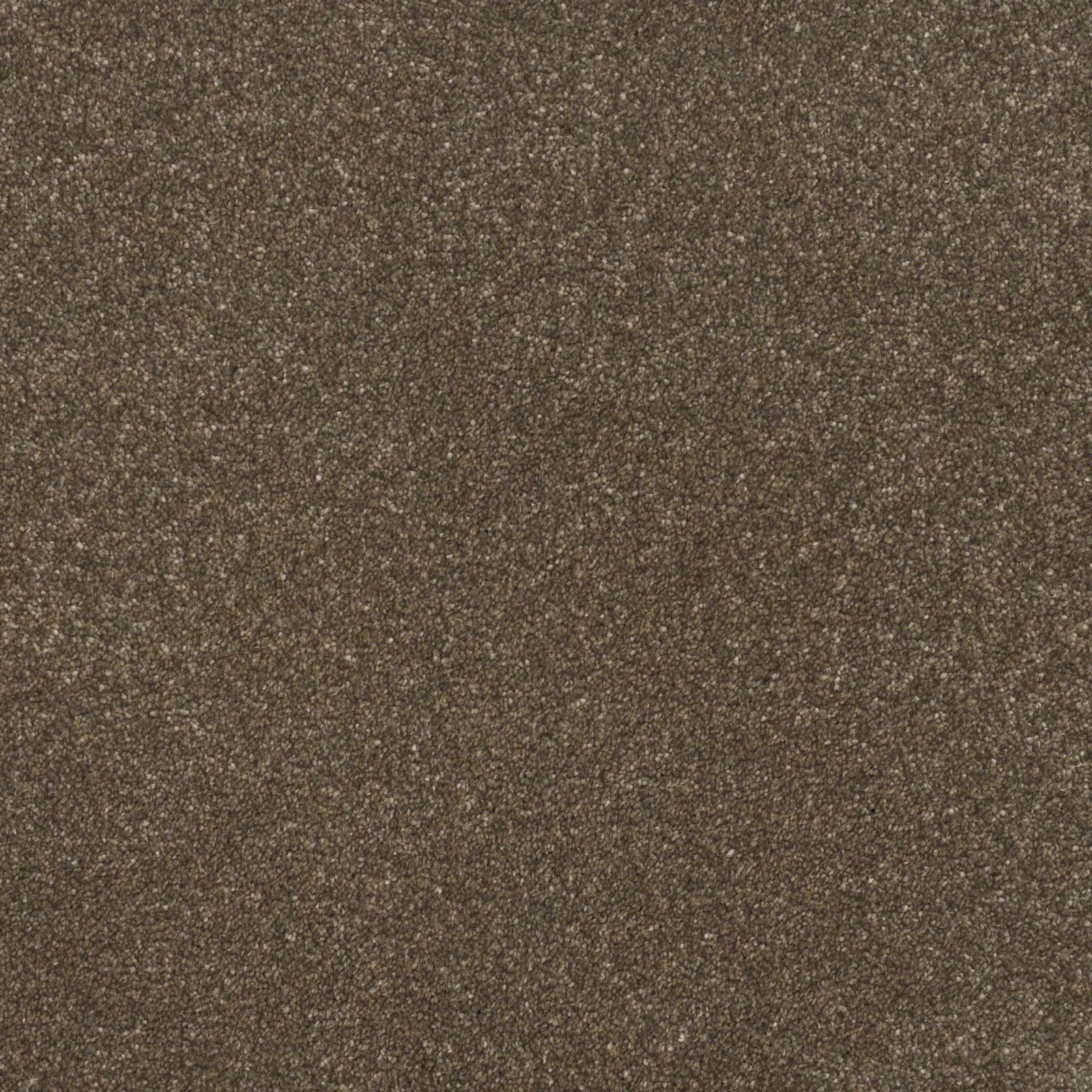 Pinnacle Carpet by Balta | Quality Flooring in Wednesfield