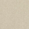 carpet company near me