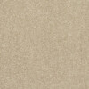 carpet company near me