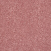 carpet company near me