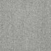 INDULGENCE SILVER DOLLAR