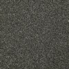 carpets judge carpets