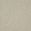 carpet company near me