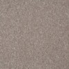 carpet company near me