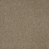 carpet company near me