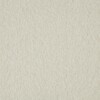 carpet company near me