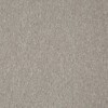 carpet company near me
