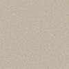 carpets judge carpets