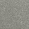 carpets judge carpets