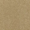 carpets judge carpets