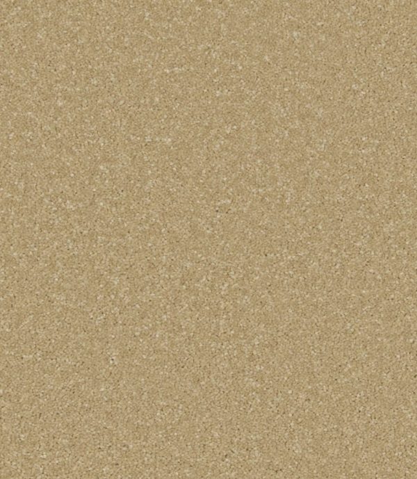 Zenith - Image 3