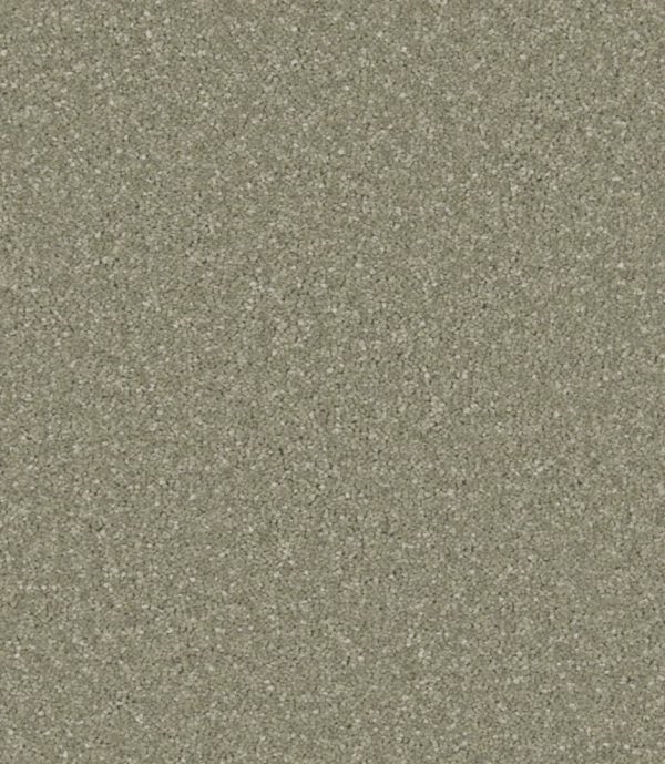 Zenith - Image 4