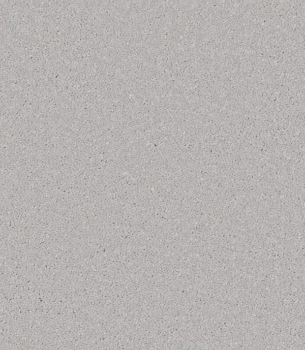 Zenith - Image 5