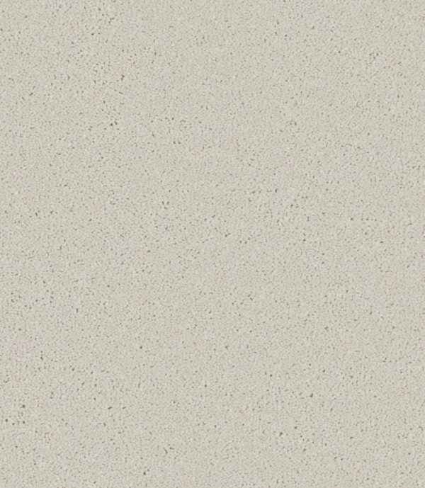 Zenith - Image 2
