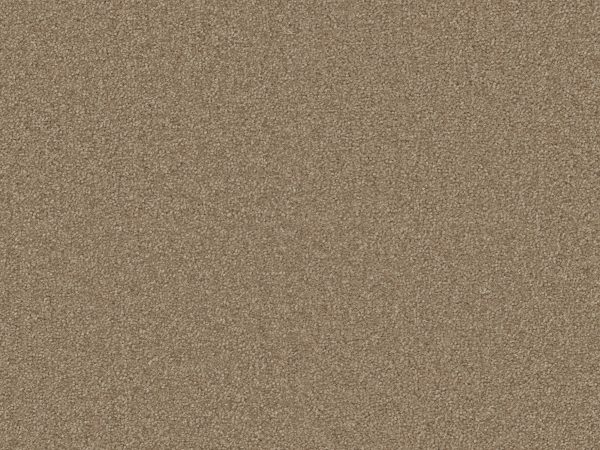 Sienna - Image 2