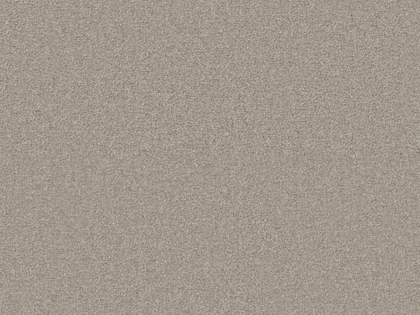 Sienna - Image 3