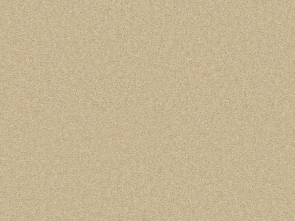 Sienna - Image 4