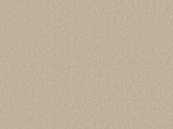 Sienna - Image 5