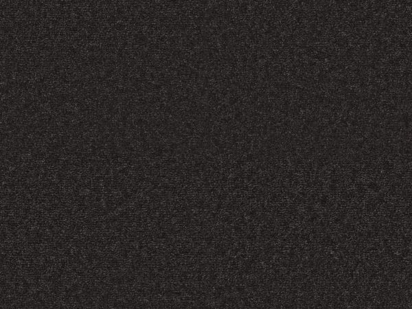 Sienna - Image 6