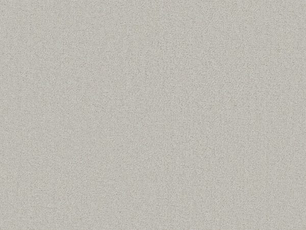 Sienna - Image 8