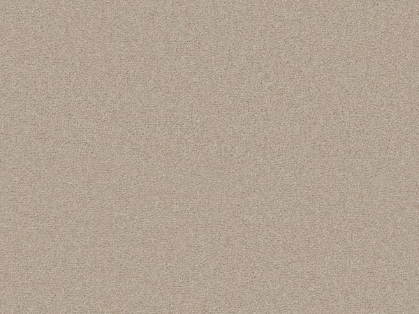 Sienna - Image 16