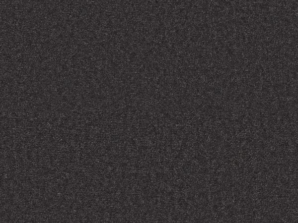 Sienna - Image 14